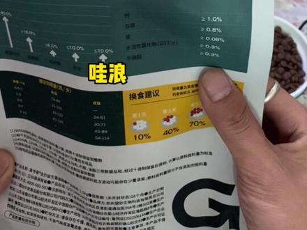 家人们谁懂啊!哭爸仔们没一天让我笑过!#高爷家猫粮#傻猫的日常