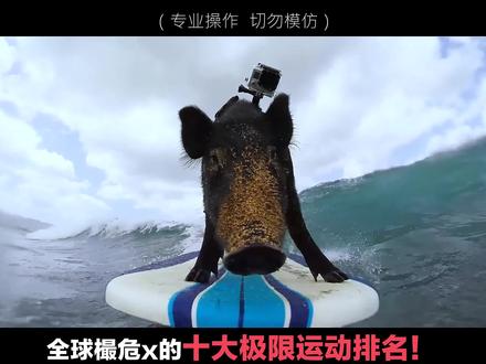 全球十大极限运动之 #巨型冲浪 ,勇敢者的游戏! #旅行大玩家 #旅行小百科