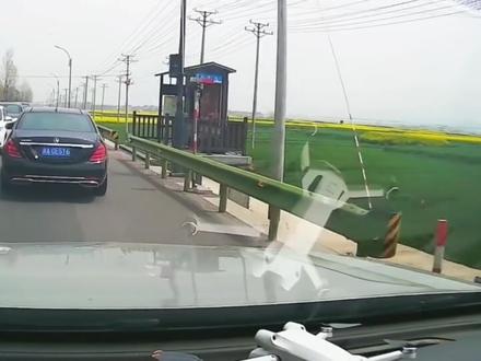 马路判官名场面#交通#热门@DOU+小助手