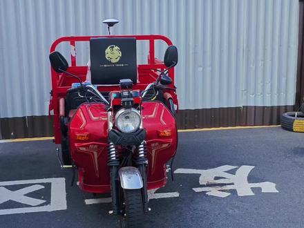 你们要的科目三全部流程讲解