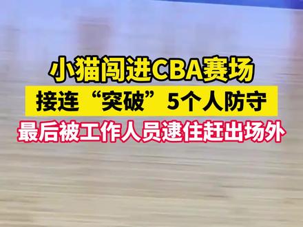 小猫闯进CBA赛场,接连“突破”5个人防守,最后还是逃跑失败,被工作人员逮住赶出场外。