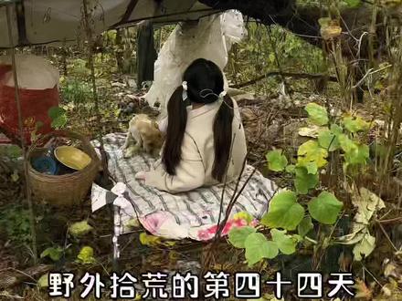 挑战流浪100天
第44天#野外生存 #流浪 #野生萝莉