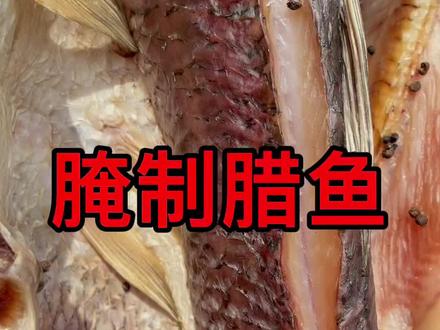 湖北到腊月期间家家户户都要腌制腊鱼,今天分享腊鱼的腌制配方,腌制的方法分享在视频中。#抖音好物年货节