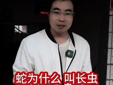 蛇为什么叫 长虫?#知识分享 #原创视频 #知识科普