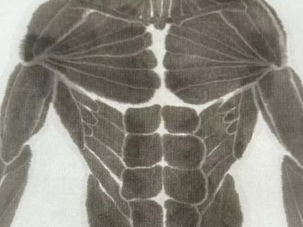 邪修国画教程之:“如何画八块腹肌的肌肉男”
医生画国画
好消息:好歹传下来了。
坏消息:让歹人传下来了。#国画 #人体肌肉 #医学生画画 #水墨画 #肌肉男