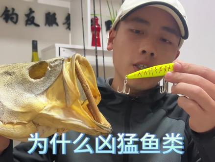 为什么会洗腮的凶猛鱼种上岸后总是不是正口?#洗腮#秋雅水面浮狗#秋雅顶尖铅笔