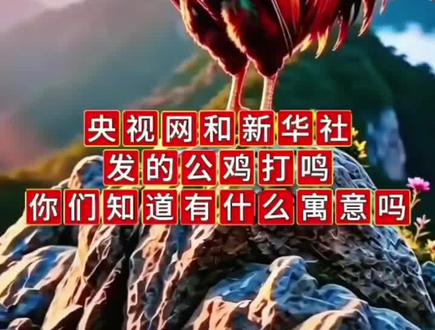央视网新华社网都发了公鸡打鸣视频大家都知道是什么意思吗: 央视网:公鸡打鸣,日出东方,利中国🇨🇳#邪不压正