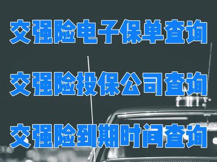 交强险电子保单怎么查询与下载打印 #保险保单查询 #车险保单查询 #交强险查询