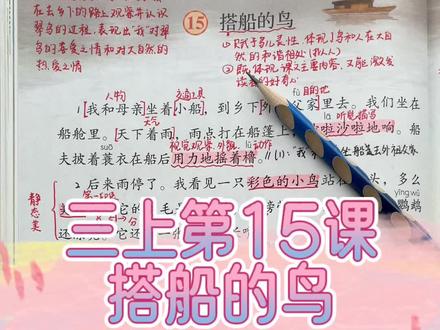 三年级上册第15课《搭船的鸟》课文讲解#小学 #语文 #三年级 #知识点总结 #课堂笔记