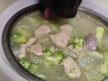 跟着博主学做的鸭肉冬瓜汤也给皮蛋安排上了,夏天喝特别好!最近发现皮蛋尿尿发黄,它又不爱喝水,就搜罗了这款汤做给它吃。#干饭狗的日常 #狗狗吃播 #自制狗饭 #狗吃的比我好系列