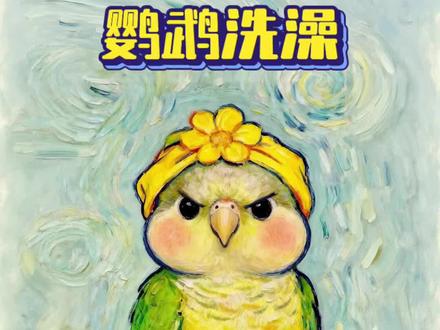 如何让鹦鹉主动洗澡? #鹦鹉 #鹦鹉小白 #鹦鹉日常 #手养鹦鹉 #训鸟高手