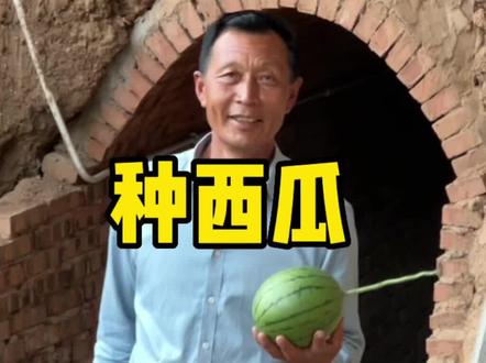 一棚弹指西瓜一年200w?想得太美好了 #西瓜 #我的乡村生活 #创业