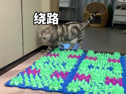 快看啊!我抓拍到我家猫在空中的样子了#oppofindx8#抓拍此刻氛围感