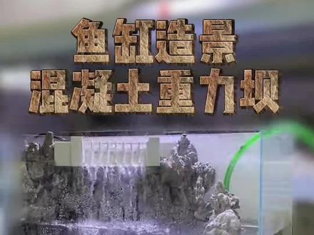 专注鱼缸造景,80缸做一个混凝土重力坝的景观。#鱼缸造景 #鱼缸里的大自然 #养鱼日记 #造景鱼缸 #景观设计