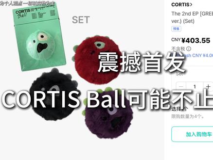 从这个视频开始我将猛烈攒钱(内容为个人猜测 仅供娱乐参考) #CORTIS#CORTIS物料 #cortisball #赵雨凡
