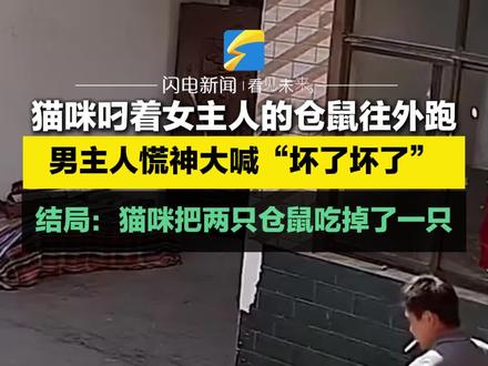 10月25日,河南,猫咪叼着女主人的仓鼠往外跑,男主人慌神大喊“坏了坏了”,结局:猫咪把两只仓鼠吃掉了一只。#猫咪 #搞笑
