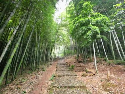 苏州旺山大环线路线攻略,路线简单,适合新手入门或者亲子路线,也可以只走叆叇岭跟九龙潭的小环线,有兴趣的点赞收藏一下。#旺山 #旺山小环线 #江浙沪周边游