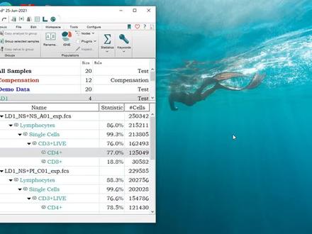 Flowjo 软件分析完数据要怎么导出想要的数据结果呢?图我们先不说,先看下数据怎么导。#流式 #数据分析
