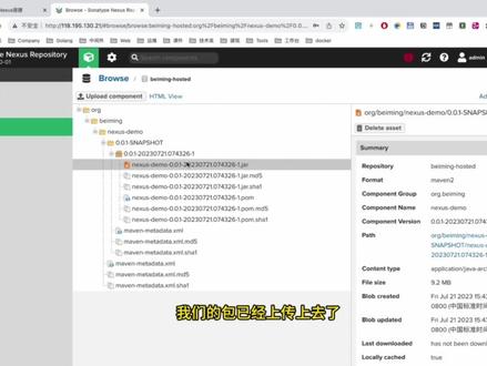 让所有人都能学会的Nexus搭建私有仓库教程【保姆级教程】
#java #Java程序员 #Nexus #学习 #我要上热门