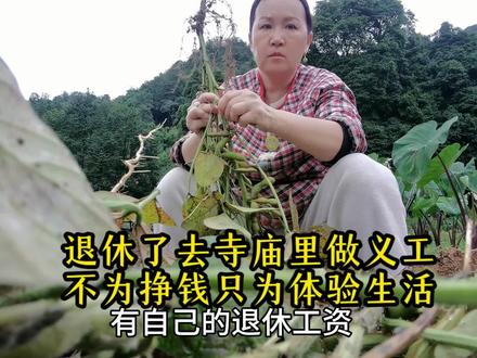 退休后在寺庙里做义工,包吃包住没工资,但我干的那么开心!