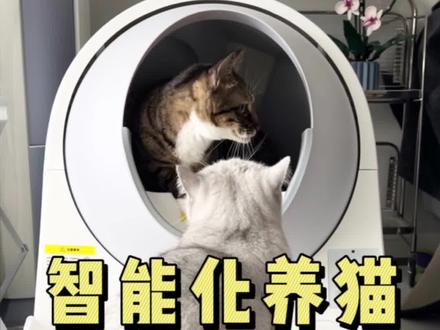 智能养猫三件套我都买了!用了!测了!
#CATLINK#养猫好物#猫咪#catlinkprox #catlink自动猫砂盆