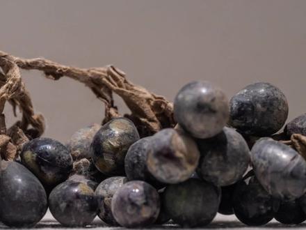 食物真的能千年不腐?到底是怎么保存的?#食物保存技巧 #葡萄