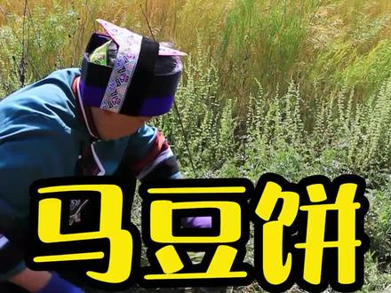 小时候穷,瓜子都吃不起,村子里放电影就会早早的去田边摘很多马豆回来煮熟,装着口袋里,边看电影边吃,特别开心,当然更奢侈一点的做法就是做成饼,但是需要不少油,那时候觉得这是人间美味,不知道有多少人有这种体验?#乡村守护人