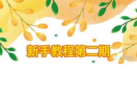 装备,血脉材料,双攻大队,种族值那些新手不知道的必备知识。#洛克王国