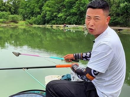 散炮钓草鱼技巧 #抖音钓鱼人 #户外钓鱼 #钓技钓法 #纵横黑坑 #九米飞抄