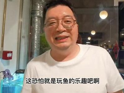 五天,整体体型大了有4-5倍,长的非常快。#金鱼 #国粹金鱼 #兰寿金鱼 #观赏鱼 #水族 #兰寿鱼苗 #鱼 #养鱼 #兰寿饲养 #养鱼日记 #水族爱好者 #养鱼养心 #兰寿观赏鱼 #萌宠