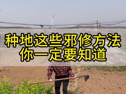 种地的邪修办法#种菜 #种植小技巧 #汉农笔记 #三农流量扶持计划