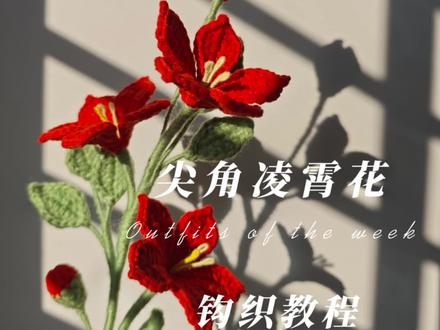 新手友好✨尖角凌霄花钩织教程
#钩织教程 #凌霄花 #手工钩织 #钩针花束 #织女