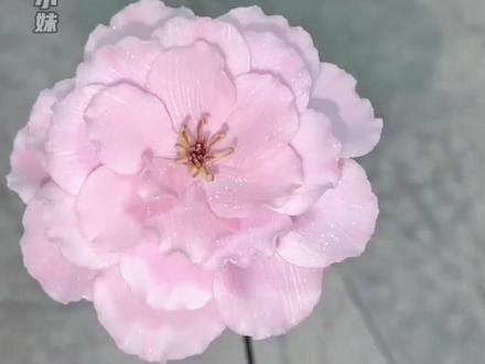 谁的夏天不想要一个属于自己的拼豆花呀!#拼豆 #立体拼豆 #手工 #拼豆花束 #拼豆diy