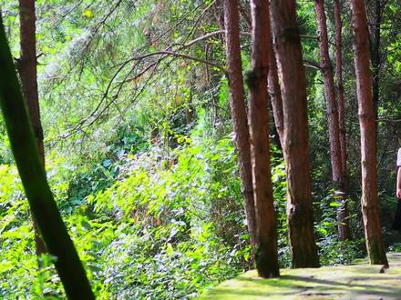 #椒椒说事儿:新开州•新画卷——大美开州•就在家门口:开州城的“后花园”——南岭公园