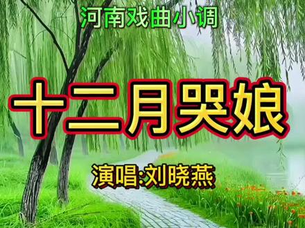 河南戏曲小调《十二月哭娘》,备足纸巾,看完别哭!