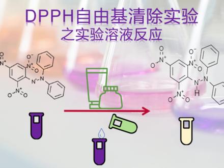 DPPH溶液反应 #知识科普