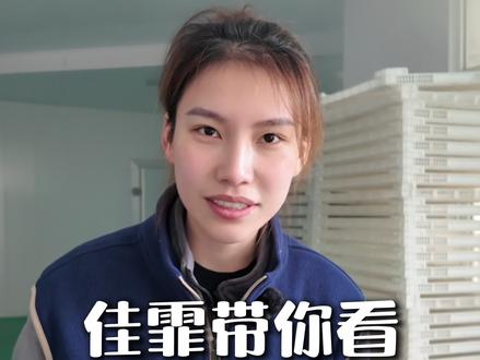 带大家看一下,咱家海参加工过程,让你吃的更放心 #海参 #大连海参 #00后创业 #辽参