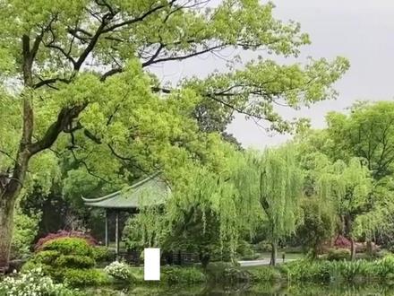一个视频看懂风力等级 #权威解读 #风力等级 #大风来了注意安全
