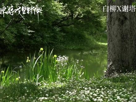 ‖惊封‖我们终会重逢……
全糖无刀
#我在惊悚游戏里封神#白柳#谢塔