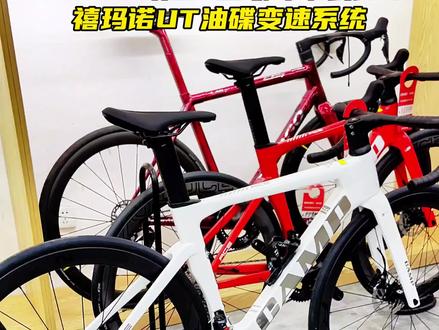 CAMP坎普ACE8000,白银色,全碳纤维公路车,UT大套油碟,性价比天花板级别#骑行 #公路自行车 #自行车推荐 #爱生活爱骑行 #夜骑