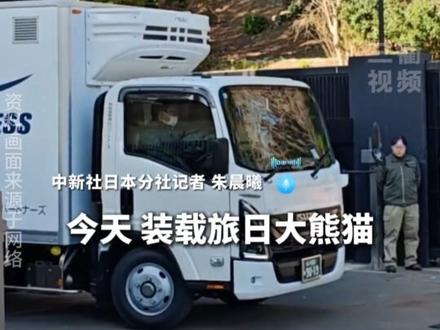 旅日大熊猫返回中国 中国外交部发言人:欢迎日本民众来中国看大熊猫#大熊猫 #旅日大熊猫 @抖音小助手 @DOU+小助手