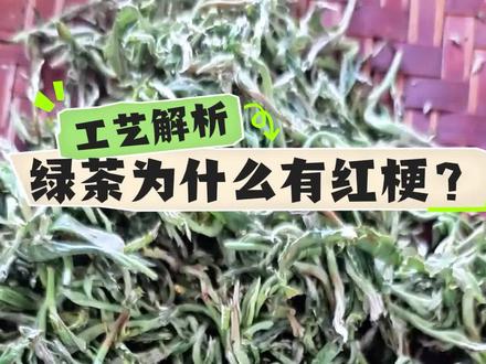 绿茶杀青为什么会有红梗?手工制茶教学,手工绿茶杀青现场|红梗原因一次讲透。#茶叶知识科普 #茶叶品质分析 #茶叶加工流程 #茶农日常分享 #手工制茶人