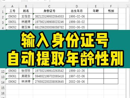 输入身份证号自动提取年龄和性别#office办公技巧 #excel #excel技巧