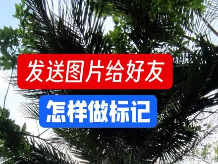 如何在照片上做标记#手机图片怎么标注箭头和文字#图片画圈是怎么弄的#华为手机怎么标记文字#安卓手机怎么标记图片里的文字#图片怎么标记红色方框