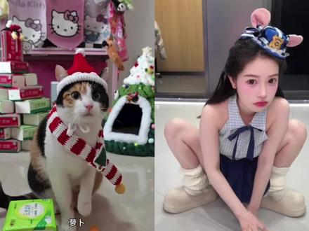 猫咪“蒙答案”走红 真棒小猫 萝卜纸巾 米老鼠真棒原版 萝卜纸巾猫咪逐渐抽象 大笨猫 萝卜纸巾猫咪原 #萝卜纸巾出现猫传人现象 超级无敌大开门猫咪模仿 萝卜纸巾猫咪模仿挑战 萝卜纸巾小猫的账号 超级无敌大开门猫咪 超级无敌大开门 #萝卜纸巾猫咪挑战 萝卜纸巾猫咪闯入科普赛道 萝卜纸巾真棒 三花猫开门 #萝卜纸巾猫咪逐渐抽象#剪映