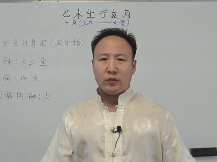 干支组合第十二集:乙木生于亥月详解