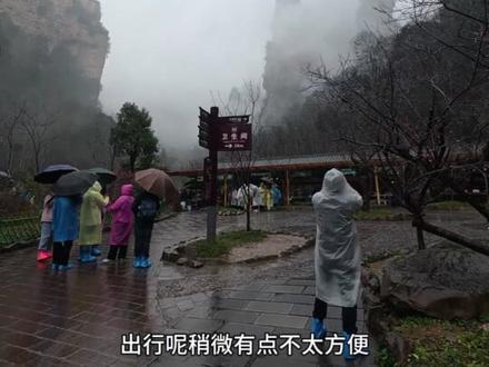 2026.2.23张家界景区实况——初七了,景区人流量开始大幅度减少,基本不排队了,奈何天公不作美,山上很多地方毛都没有。。。#张家界旅游攻略 #张家界国家森林公园 #张家界 #导游带团