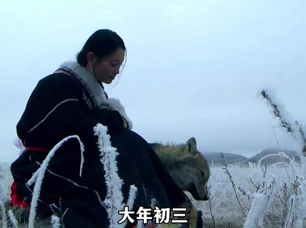 《重返狼群》官宣大年初三重新上映,这一刻完结的故事又有了新的开始,原来过去16年了人们始终没有忘记格林!#李微漪 #重返狼群 #重返狼群背后的故事 #感人 #格林