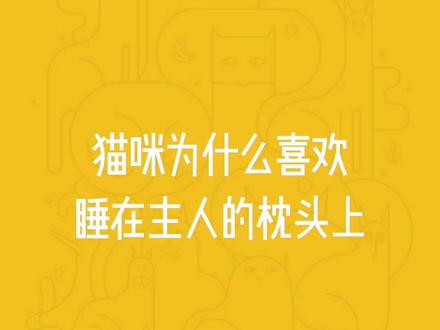 哪都没有你的枕头香!让它睡!!#猫 #宠物 #萌宠出道计划 #萌宠 #猫咪