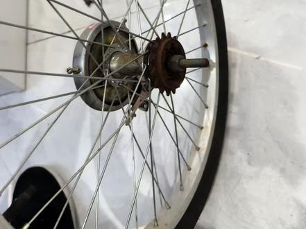 旋式单速飞轮的拆卸及安装教程#凤凰自行车 #fnix #维修日常